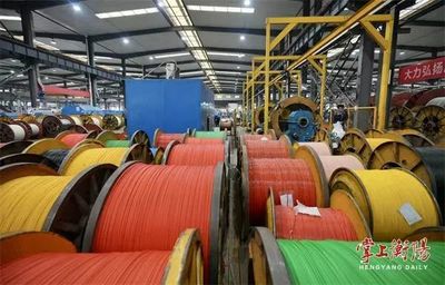 五彩電纜線 金杯電工車(chē)間的科技與美學(xué)交融